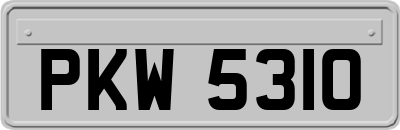 PKW5310