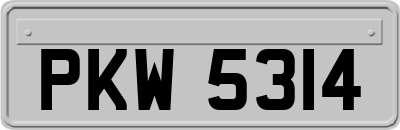 PKW5314