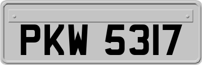 PKW5317
