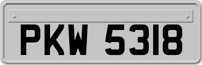PKW5318
