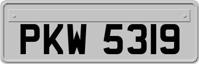 PKW5319