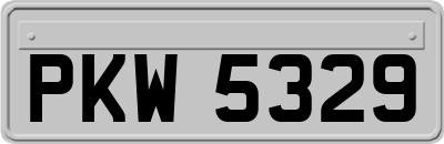PKW5329