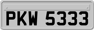 PKW5333