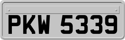 PKW5339
