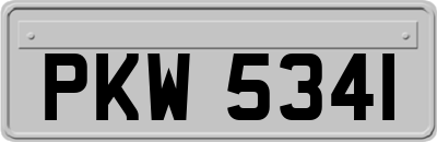 PKW5341
