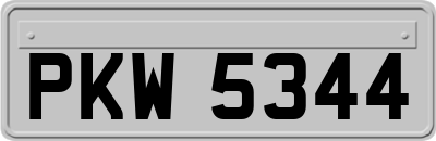 PKW5344