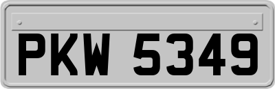 PKW5349
