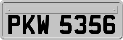 PKW5356