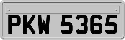 PKW5365