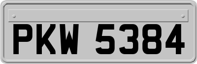 PKW5384