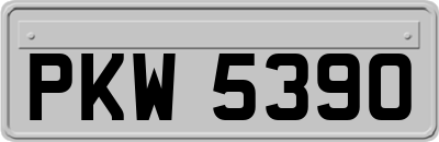 PKW5390