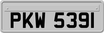 PKW5391