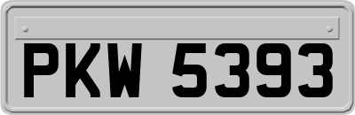 PKW5393