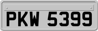 PKW5399