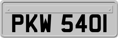 PKW5401