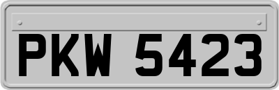 PKW5423