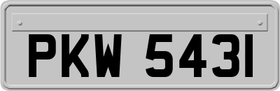 PKW5431