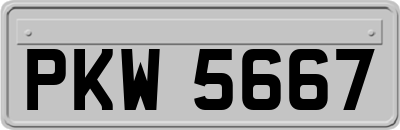 PKW5667