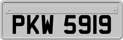 PKW5919