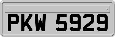 PKW5929