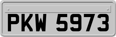 PKW5973