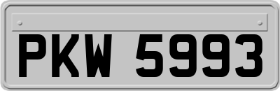 PKW5993