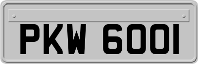 PKW6001