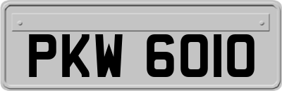 PKW6010