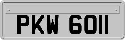 PKW6011