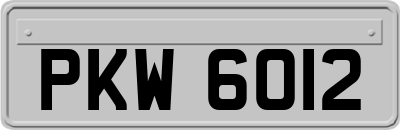 PKW6012