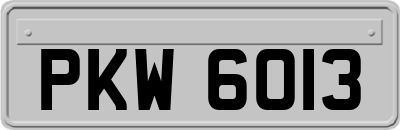 PKW6013