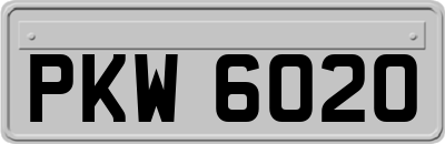 PKW6020