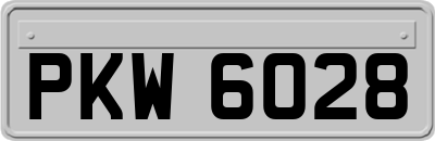 PKW6028