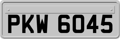 PKW6045