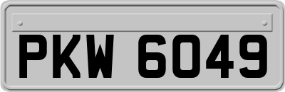 PKW6049