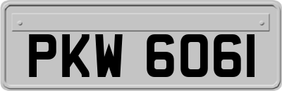 PKW6061