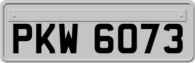 PKW6073