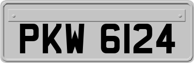 PKW6124