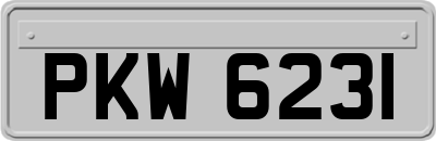 PKW6231