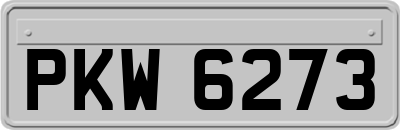 PKW6273