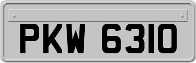 PKW6310