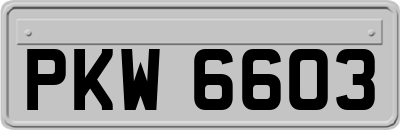 PKW6603