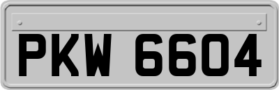 PKW6604