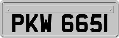 PKW6651