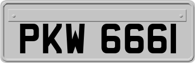 PKW6661