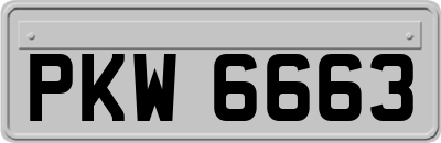PKW6663