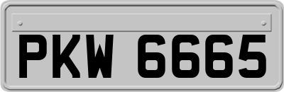 PKW6665