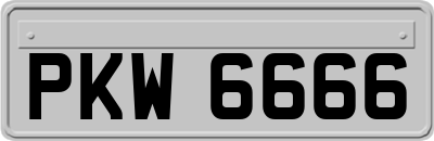PKW6666