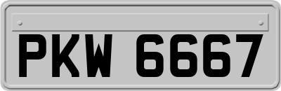 PKW6667