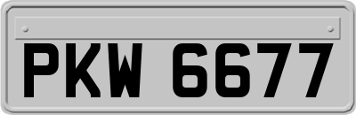 PKW6677